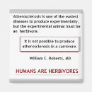 Recherche de anatomie humaine magnets Santé