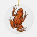 Search for frogs ornaments Wildlife