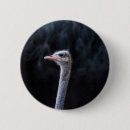 Recherche de autruche badges Drôle