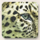 Recherche de leopard dessous de verres Aquarelle
