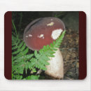 Search for bird wedding electronics Marriage