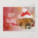 Search for dog sleeping cards One animal