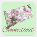 Search for mountain laurel flower stickers Connecticut
