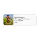 Search for giraffe return address labels Cute