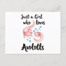 Search for axolotls postcards Girl