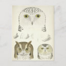 Recherche de hibou vintage cartes postales Illustration