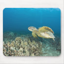 Recherche de tortue verte tapis souris Nature