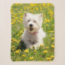 Search for westie blankets Puppy