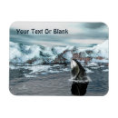 Recherche de baleines magnets Faune