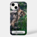 Search for resting cases Wildlife