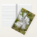 Recherche de milkweed Papillon