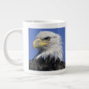 Search for wild eagles mugs Bald eagle