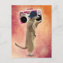 Search for boom box Animals