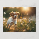 Recherche de petit chiot cartes postales Animal
