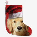 Search for golden retriever christmas stockings Xmas