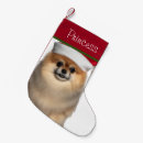 Search for pomeranians christmas stockings Dog lover