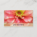Search for vector photography Business