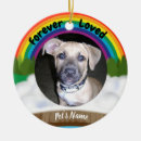 Search for sympathy pet memorial ornaments Deceased