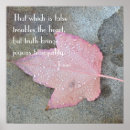Search for rumi posters Pink