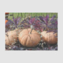 Recherche de découpage de citrouille Automne