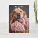 Search for golden retriever mothers day cards Pet