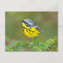 Search for height postcards Superstock