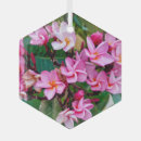 Search for frangipani ornaments Pink