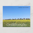 Recherche de moutarde cartes postales Fleurs
