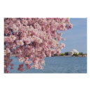 Recherche de etats unis posters Dehors