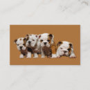 Search for bullis business cards Puppies