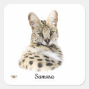 Search for exotic pet stickers Wildlife