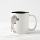 Search for domesticated drinkware Nature