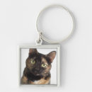 Search for cat hair keychains Cats