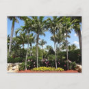 Recherche de plantes tropicales cartes postales Hibiscus