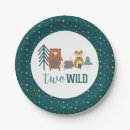 Search for two wild birthday decor Boy