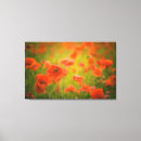 Search for poppy field canvas prints Poppies