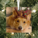 Search for corgi ornaments Pembroke welsh corgi