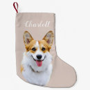 Search for corgi christmas decor Pet lover
