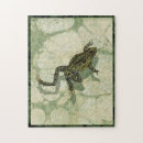 Recherche de amphibien puzzles Nature