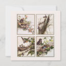 Recherche de oiseaux dans la neige vœux cartes Vintage