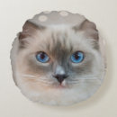 Recherche de ragdoll coussins Chat à poupée