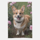 Recherche de corgi cuisine linges Animal