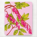 Search for flowering mums electronics Pink flowers