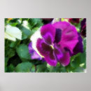Search for annuals posters Pink