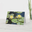 Search for waterlily cards Blank