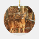 Search for buck ornaments Wildlife