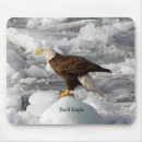 Search for bald eagle mousepads Animal