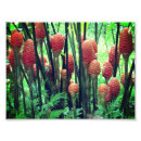 Recherche de gingembres art Fleur