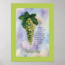 Search for wine menus White