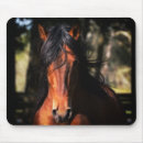 Search for colt mousepads Stallion